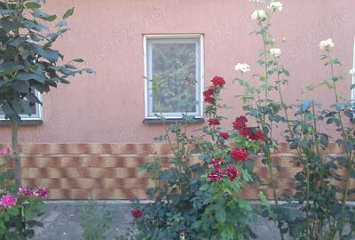 Casa de vanzare Lovrin - 1