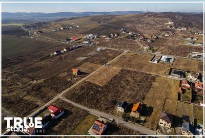 Teren de 1000 mp, în Central - 11