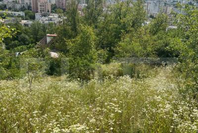 Casă cu 4 camere cu Teren 2249 Mp în Central - 4