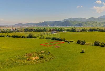 Teren 862mp Rasnov/Intravilan Teren 862mp Rasnov/Intravilan - 5