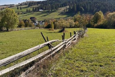 Spațiu comercial, în Pleșa - 4