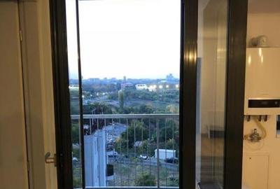 Brancoveanu tineretului the park studio - 6