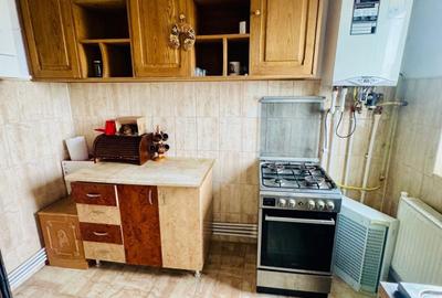 Apartament cu 2 camere semidecomandat în Vișan - 5