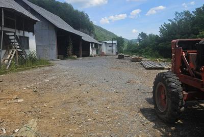Spațiu comercial, de 2,500 mp, în Nufărul - 7