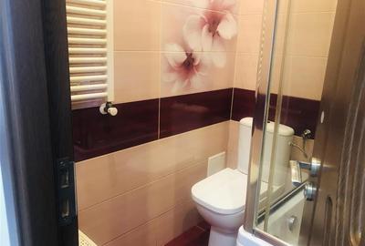 Garsoniera luminoasa la prima inchiriere,  LIDL Astra - 17