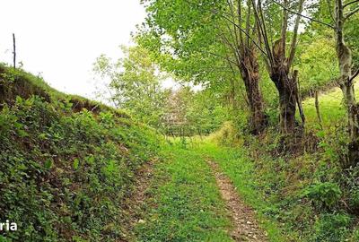 Spațiu comercial, în Bulz