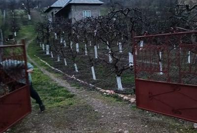 Casă individuală cu 2 camere cu Teren 2800 Mp în Boțești - 2