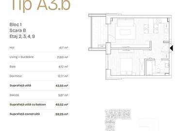 Prima Astera- studio- cesiune - 4