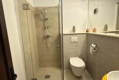 Proprietar, vand  ap 2 camere, 60 mp, et. 1, Calea Mosilor, plan secund - 9
