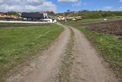 Teren de 5800 mp, în Mărăști - 5