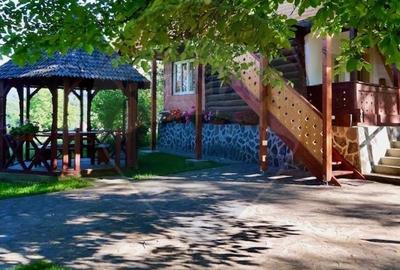 Doua case in stil maramuresean de vanzare in Breb/Maramures - 4