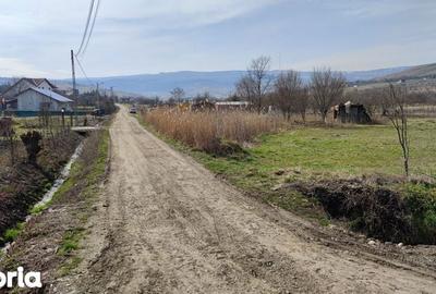 Teren de 8632 mp, în Borhanci - 5