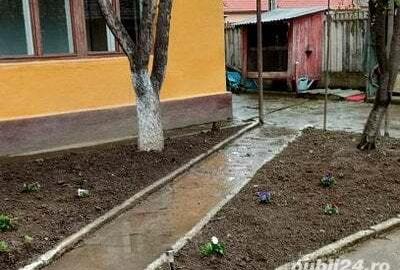 Vand casa in Faget Timis Vand casa in Faget Timis - 4