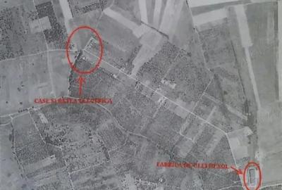 Teren de 10900 mp, în Oncea - 5