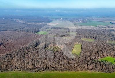Teren langa Manastirea Sfantul Nicolae Sitaru - 4