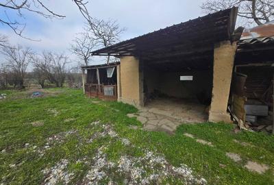 Casă cu 4 camere în Segarcea-Deal - 8