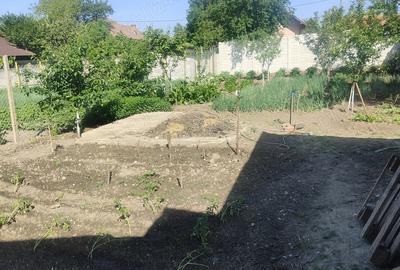 Casă cu 3 camere în Central - 6