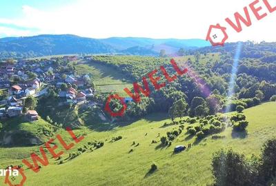 Teren de 8163 mp, în Vama Buzăului