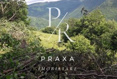 Teren Construcții extravilan de 10000 mp, în Măguri-Răcătău - 3