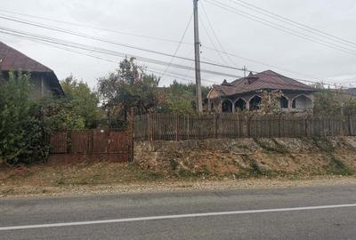 Casă cu Teren 1600 Mp în Dumbrăvești - 1