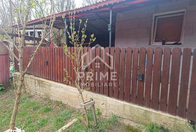Casă cu 2 camere cu Teren 3000 Mp în Cricău - 3
