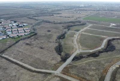 Teren de 5000 mp, în Albina - 1
