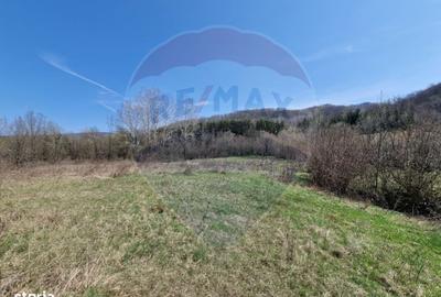 Spațiu comercial, în Podiș - 7