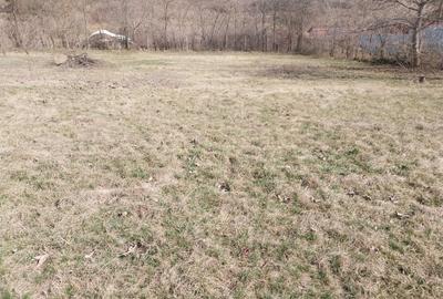 Casă individuală cu 4 camere cu Teren 2500 Mp în Copou - 6