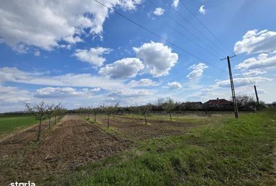 Casă cu 3 camere cu Teren 20000 Mp în Leleasca - 4