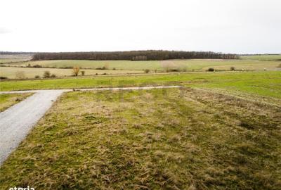 Spațiu comercial, în Sânmartin - 9