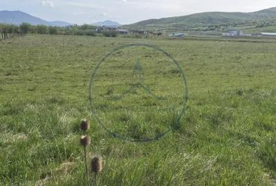 Teren de 5000 mp, în Unirea - 2
