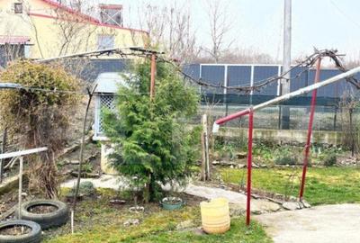 Casa individuala + Teren 4600 mp- Siret - 3