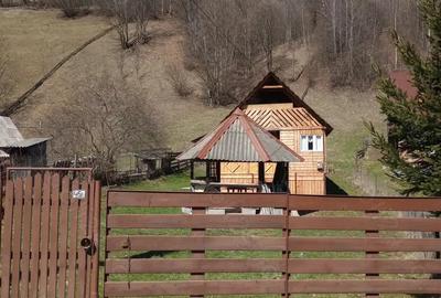 Casa de vanzare la munte - 2