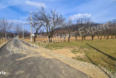 Teren de 2172 mp, în Albești - 6