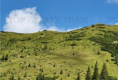 SUPER OPORTUNITATE, DE VANZARE O PROPRIETATE SPECIALA, MUNTELE VARFUL GROAPELE , - 19