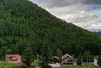 Teren de 500 mp, în Brădățel - 6