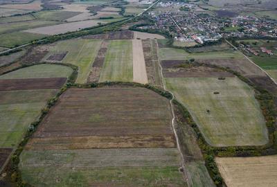 Teren agricol de 34.500mp in Albina, Jude?ul Timi? Teren agricol de 34.500mp in Albina, Jude?ul Timi? - 6
