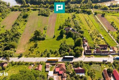 Teren de 5202 mp, în Bârzava - 3