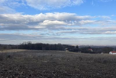 Spațiu comercial, în Central - 1