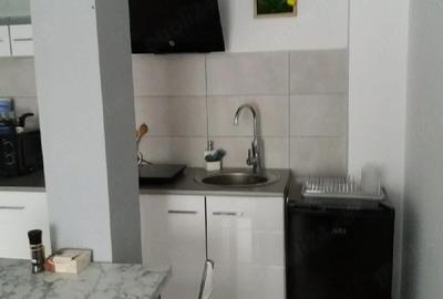 Apartament cu 2 camere nedecomandat în Poiana Țapului - 4