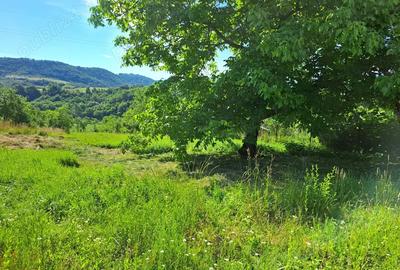 Casă cu 2 camere în Urviș de Beiuș - 5