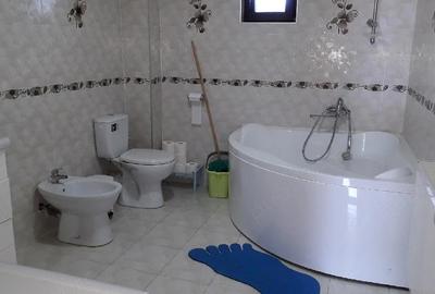 Casă cu 4 camere cu Teren 1600 Mp în Valea Stânii - 5