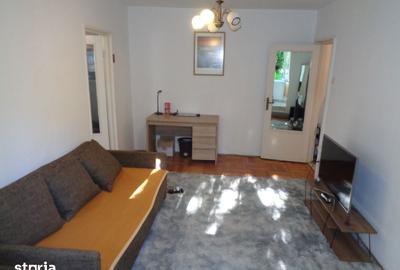 Apartament cu 2 camere în Șega - 10