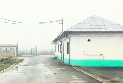 Spațiu comercial, de 65 mp, în Valea - 8