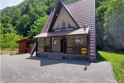 OPORTUNITATE!!! Casa la munte, zona Remeti, drumul Apusenilor! 2 case disponibil - 1