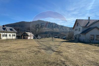 Teren de 3606 mp, în Pângărați - 6