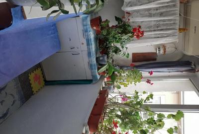 Apartament cu 2 camere semidecomandat în Ultracentral - 10