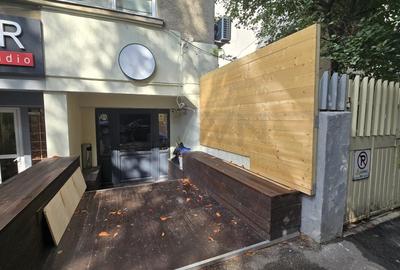 REC3000778 Aviatorilor I Dorobanti I spatiu stradal - 6