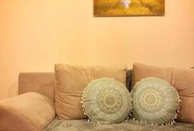 Apartament cu 2 camere semidecomandat în Fortuna - 14