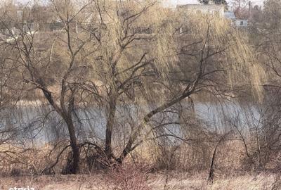 Spațiu comercial, în Moara Vlăsiei - 9